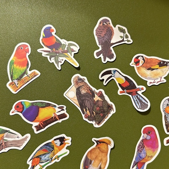NEW Set of 14 colorful birds stickers NWOT - Picture 6 of 6
